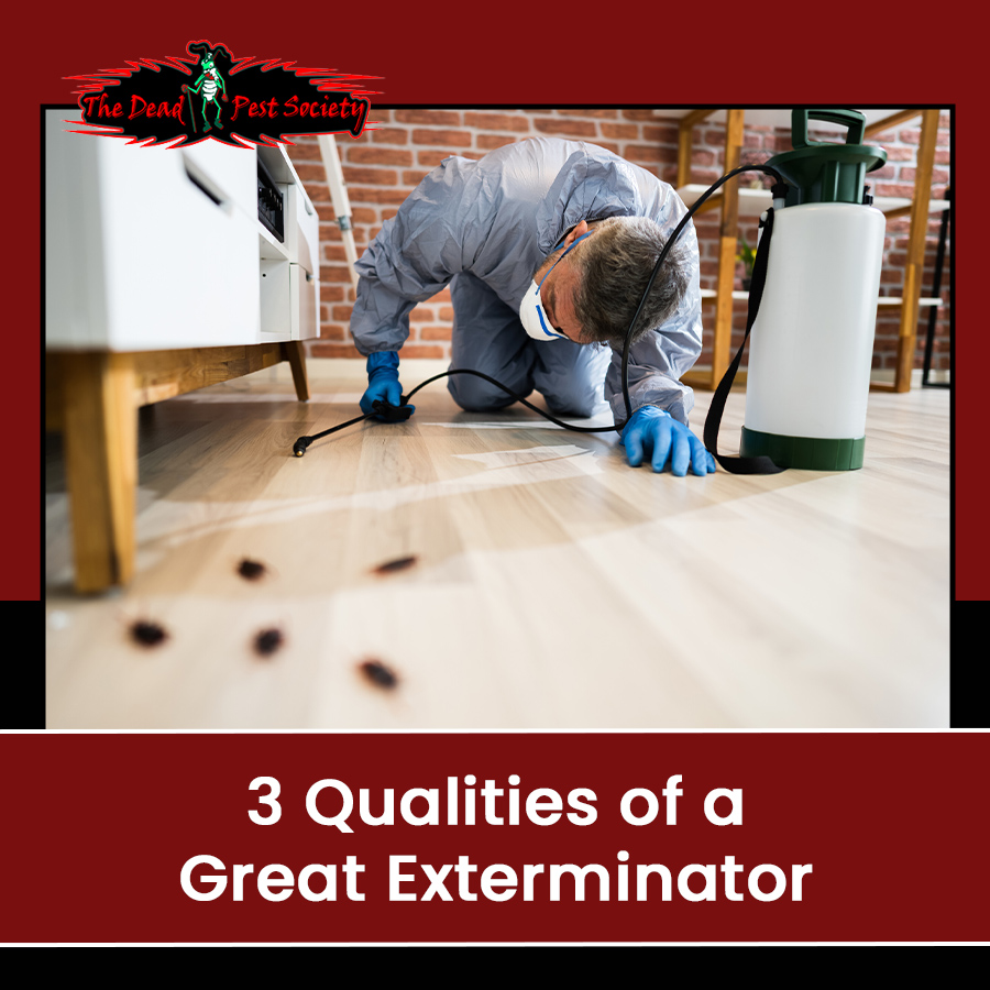 3 Qualities of a Great Exterminator