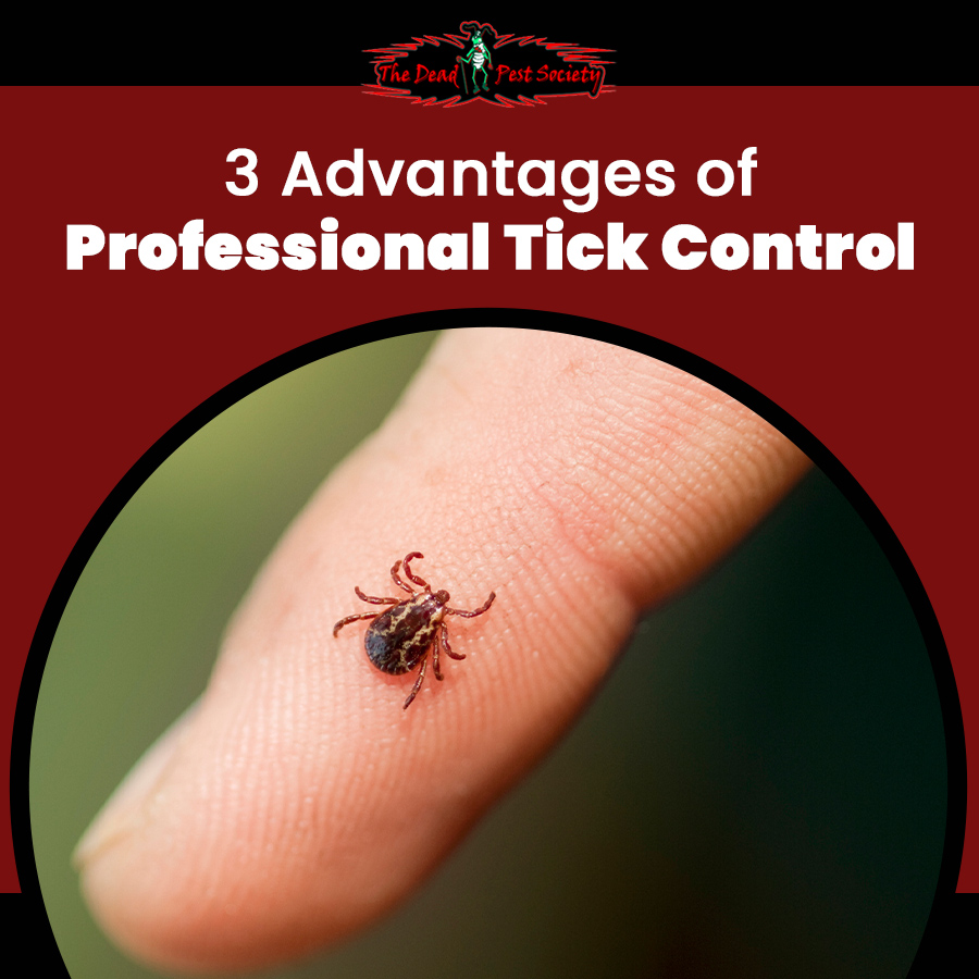 3 Advantages of Professional Tick Control