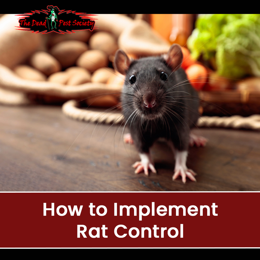 How to Implement Rat Control